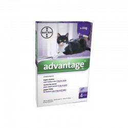 ADVANTAGE ANTIPULGA BAYER...
