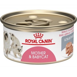 ROYAL CANIN MOTHER & BABY...
