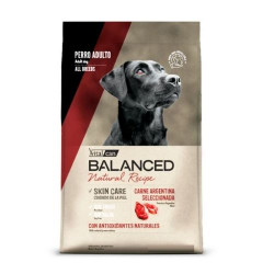 BALANCED DOG CARNE...