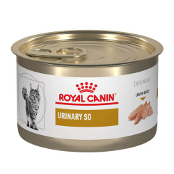 ROYAL CANIN LATA CAT...
