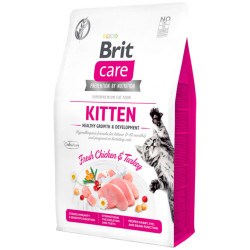 BRIT CARE CAT KITTEN...